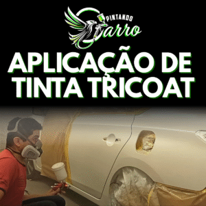 Aplicação de Tintas Treecoat